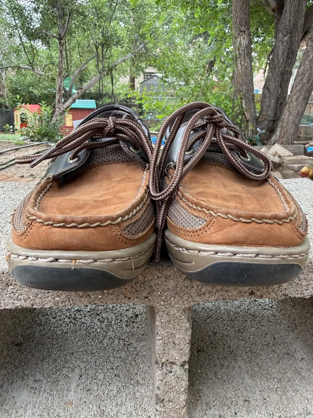 Sperry Men's Tarpon 2-Eye Boat Shoe in Brown/Buc Brown colorway